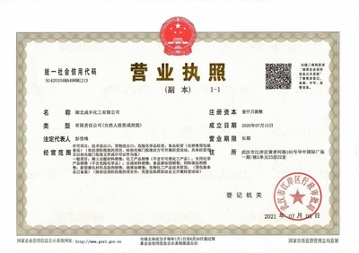 公司介绍